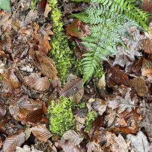 Leuchten-eigene-Kraft-1200px_original